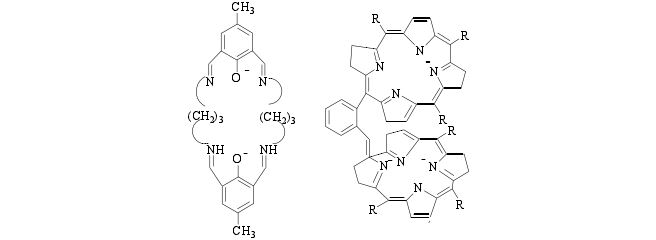 雙氧水漂白催化劑