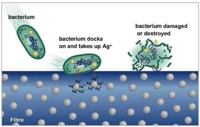 銀離子共混改性纖維抗菌機(jī)理.png