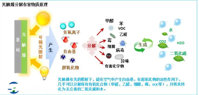 光觸媒抗菌的反應機理.png